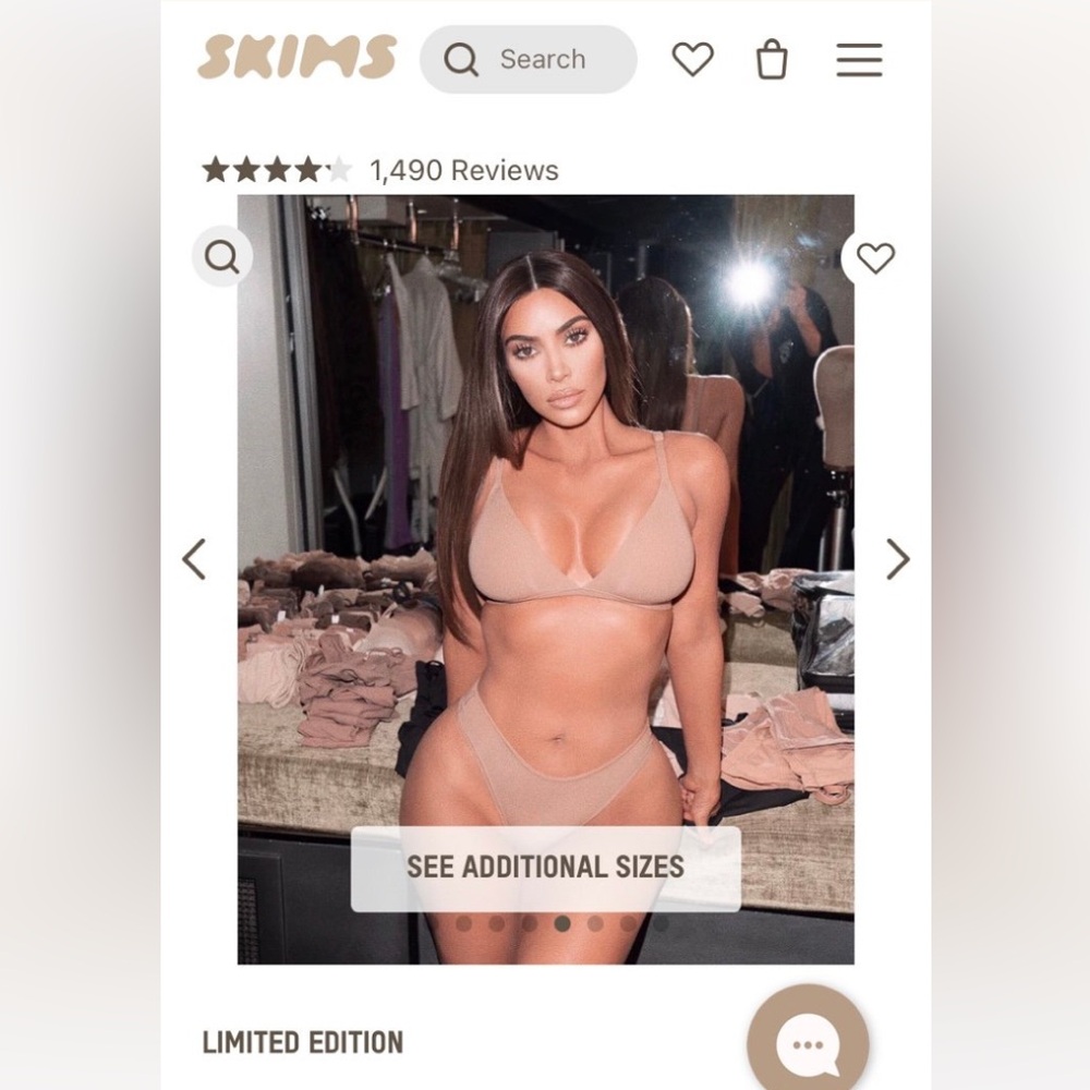 Nwt Skims fits everybody triangle bralette XS in clay